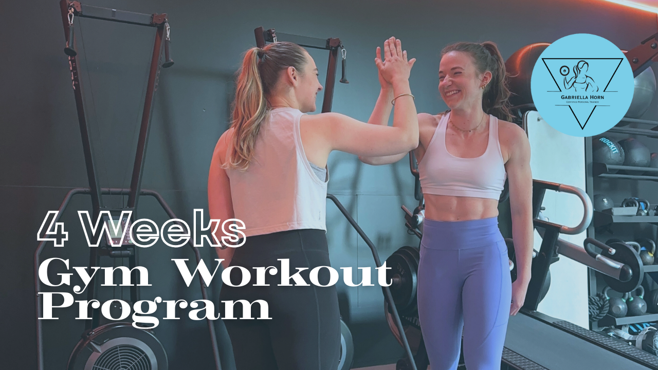 Free Gym Program